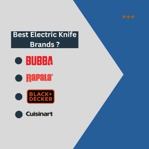 A graphic featuring the question "Best Electric Knife Brands?" with a checklist of four popular brands: BUBBA, Rapala, BLACK+DECKER, and Cuisinart, presented on a grey and blue background.